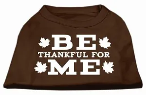 Be Thankful for Me Screen Print Shirt Brown Med (12)