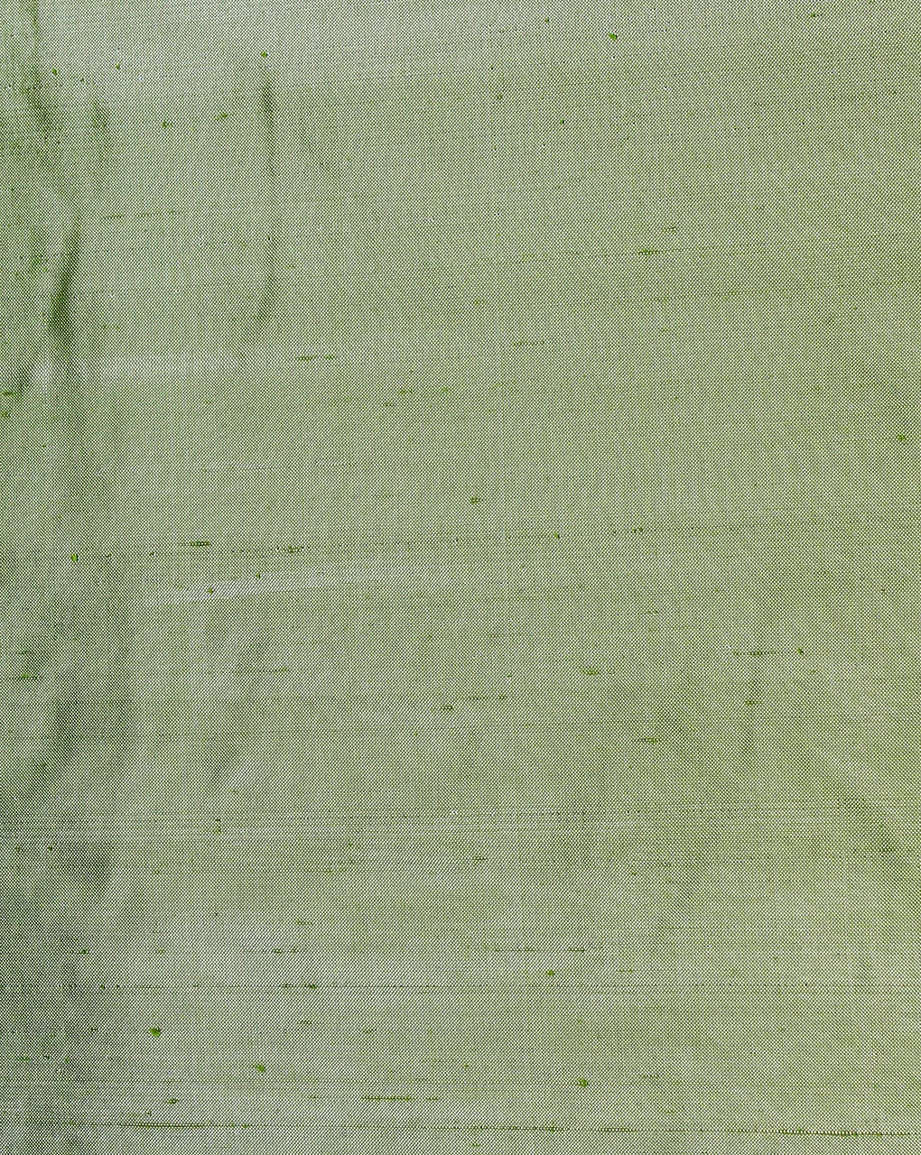 Light Green Plain Silk Lurex Fabric