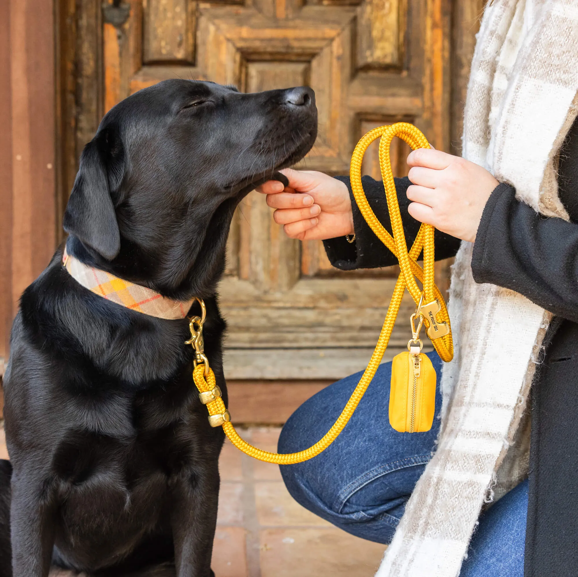 Mustard Plaid Flannel Dog Collar